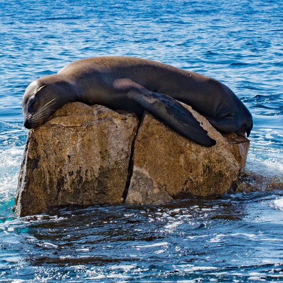 Meet your Posher, Kimberly - Picture 4 of 8